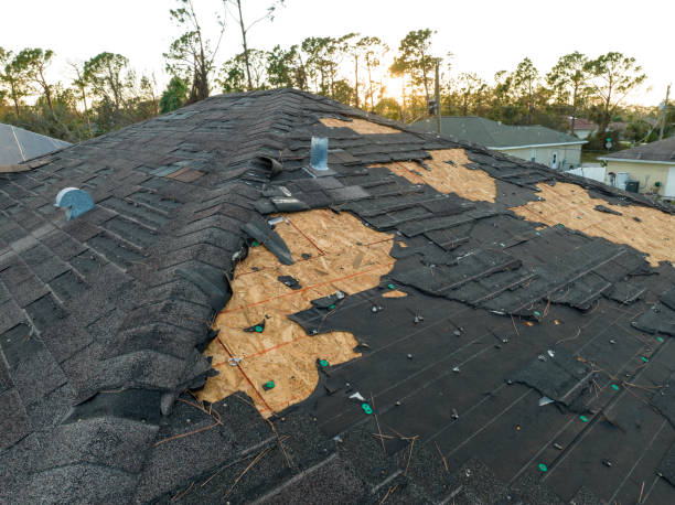 Steel Roofing in Gruetli Laager, TN